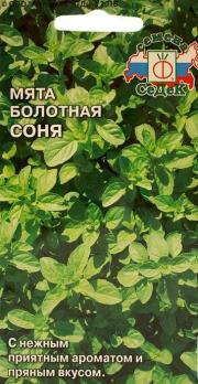 Мята болотная Соня /Седек/