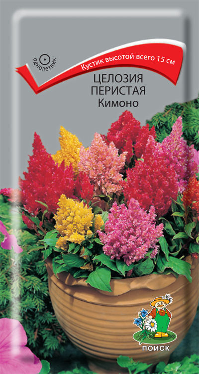 Целозия перистая Кимоно (0,1г) /Поиск/