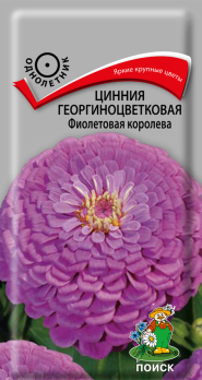 Цинния георгиноцветковая Фиолетовая королева (0,4г) /Поиск/