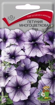 Петуния многоцветковая Нора (20 шт) /Поиск/