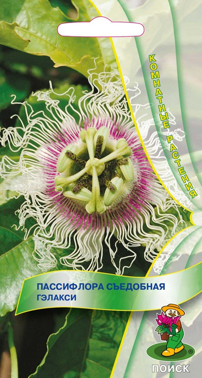 Пассифлора съедобная Гэлакси (0,2 г) /Поиск/