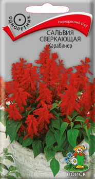Сальвия сверкающая Карабинер (0,1 г) /Поиск/