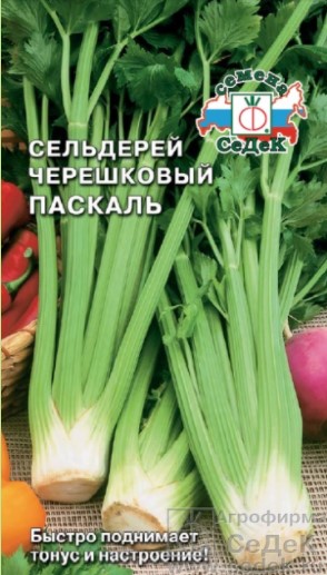 Сельдерей черешковый Паскаль /Седек/