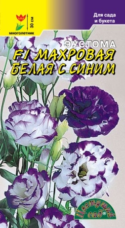 Эустома карликовая махровая Белая с синим (5шт) /Цветущий сад/