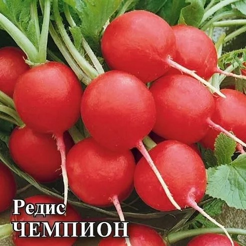 Редис Чемпион 50г /Гавриш/