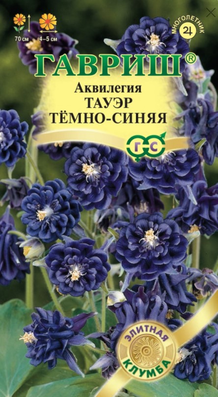 Аквилегия обыкновенная Тауэр темно-синяя /Гавриш/ Серия Элитная клумба
