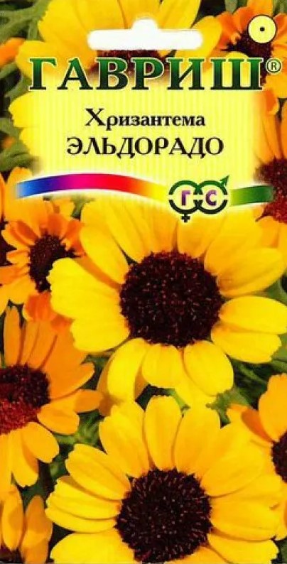 Хризантема Эльдорадо /Гавриш/