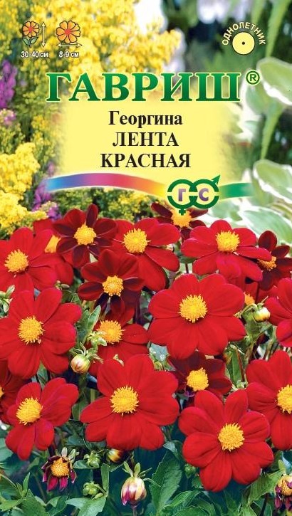Георгина Лента красная /Гавриш/