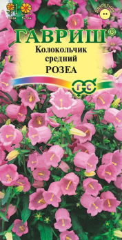 Колокольчик средний Розеа /Гавриш/