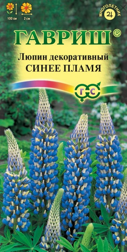 Люпин Синее пламя /Гавриш/
