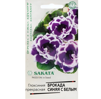 Глоксиния Брокада синяя с белым F1 (5шт Япония) /Гавриш/ SAKATA Эксклюзив
