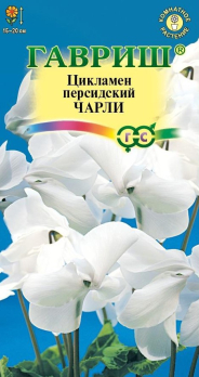 Цикламен персидский Чарли 3шт /Гавриш/