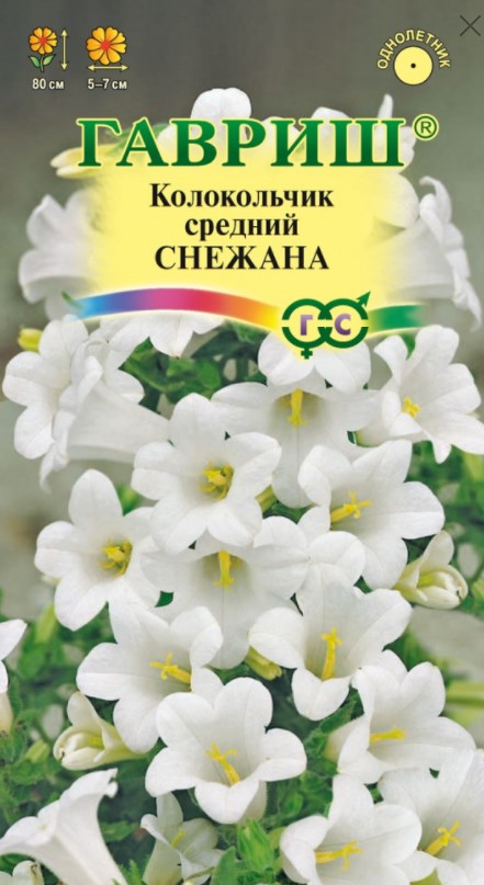 Колокольчик средний Снежана /Гавриш/