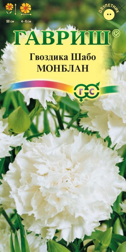 Гвоздика садовая Шабо Монблан /Гавриш/