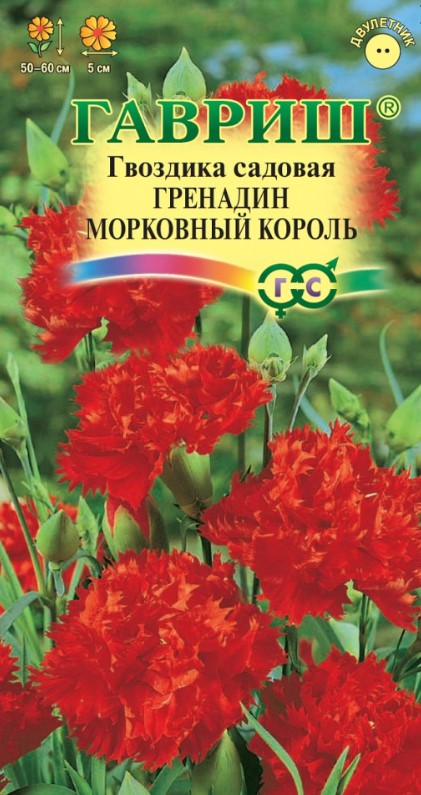 Гвоздика садовая Гренадин Морковный король /Гавриш/