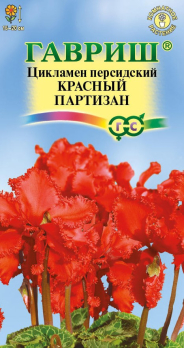 Цикламен персидский Красный партизан 3шт /Гавриш/