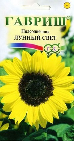 Подсолнечник декоративный Лунный свет /Гавриш/