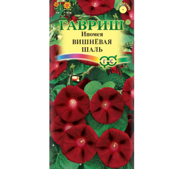 Ипомея Вишневая шаль /Гавриш/