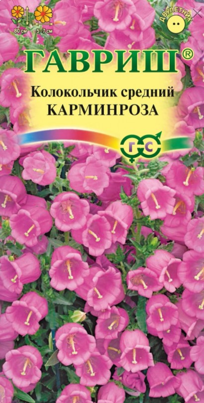 Колокольчик средний Карминроза /Гавриш/