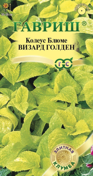 Колеус Визард Голден 5шт /Гавриш/ Серия Элитная клумба
