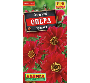 Георгина Опера красная  (Китай) /Аэлита/