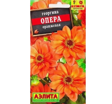 Георгина Опера оранжевая (Китай) /Аэлита/