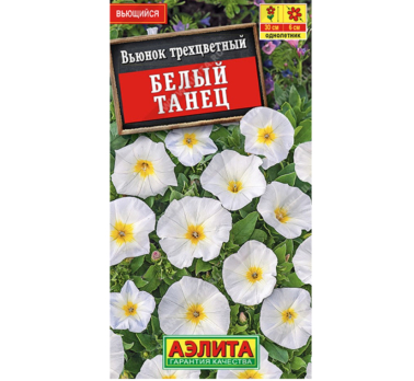 Вьюнок Белый танец (Нидерланды) /Аэлита/