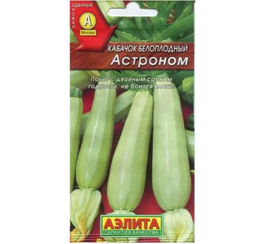 Кабачок Астроном (Италия) /Аэлита/
