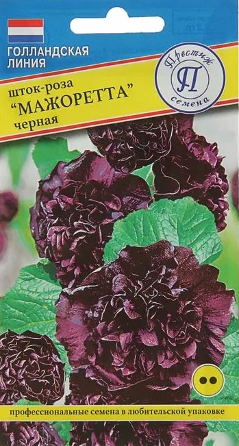Шток-роза Мажоретта Черная двулетник (0,1г, Голландия) /Престиж/