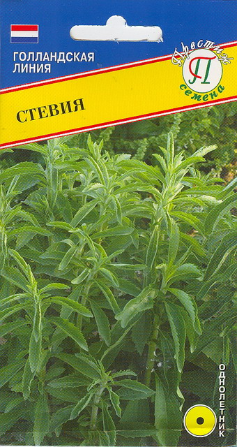 Стевия (Медовая трава) однолетник (5шт, Голландия) /Престиж/