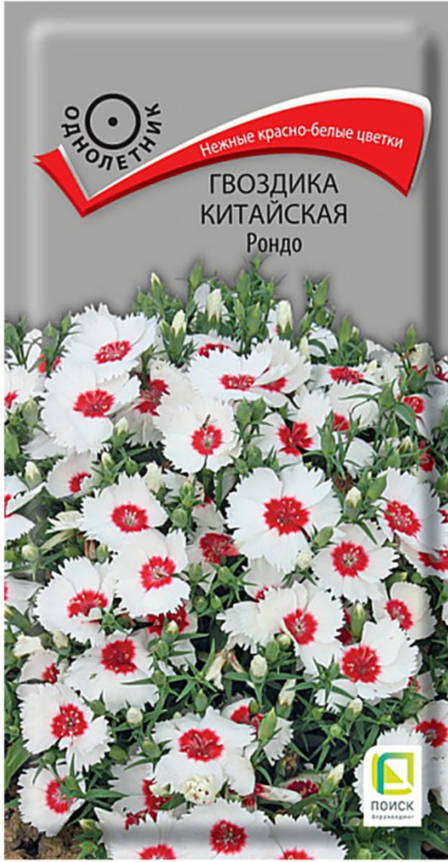 Гвоздика Китайская Рондо (0,3 г) /Поиск/