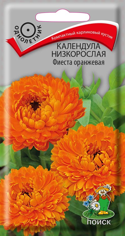 Календула низкорослая Фиеста оранжевая (0,3 г) /Поиск/