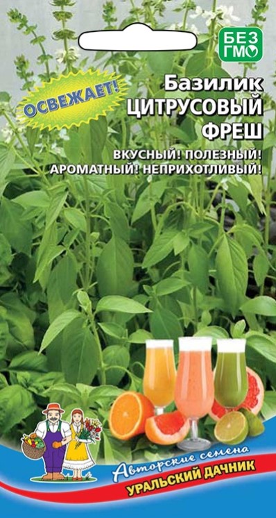 Базилик Цитрусовый фреш /Уральский дачник/