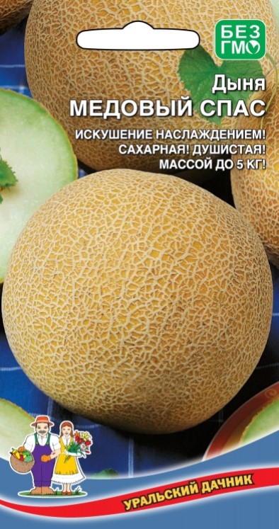 Дыня Медовый Спас /Уральский дачник/
