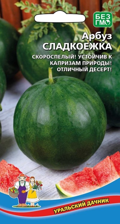 Арбуз Сладкоежка /Уральский дачник/