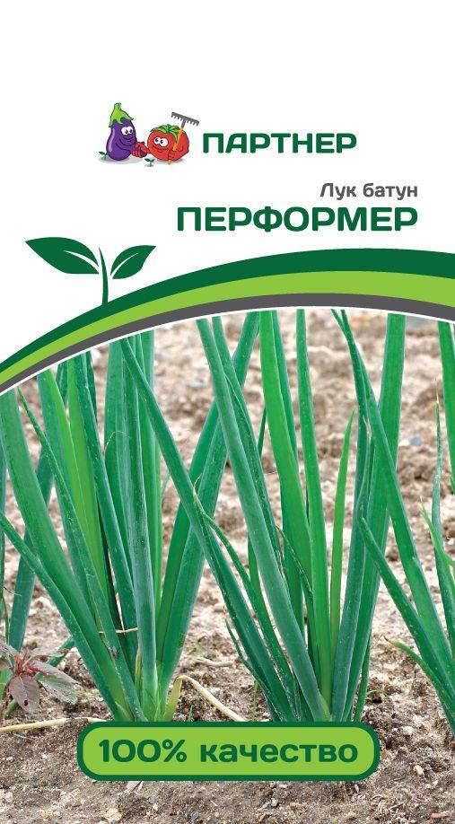 Лук батун Перформер (1г) /Партнер/