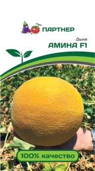 Дыня Амина F1 (5шт) /Партнер/