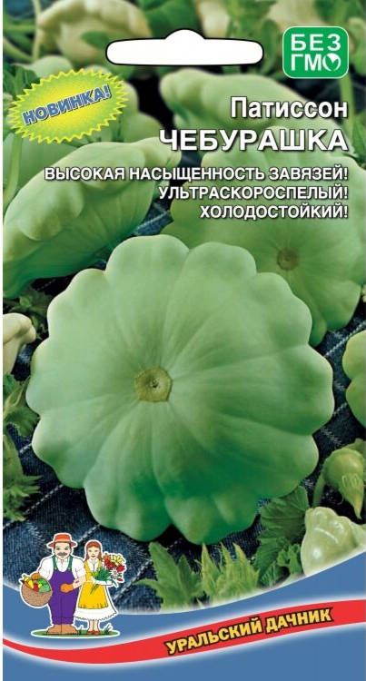 Патиссон Чебурашка /Уральский дачник/