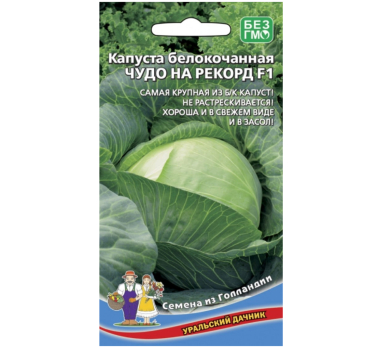 Капуста белокочанная Чудо на рекорд /Уральский дачник/
