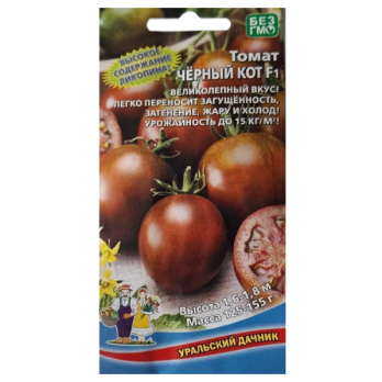 Томат Черный кот F1 /Уральский дачник/