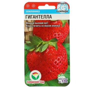 Клубника Гигантелла (10шт) /Сибирский сад/ Земляника крупноплодная