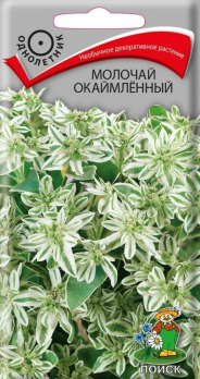 Молочай Окаймленный (0,2 г) /Поиск/