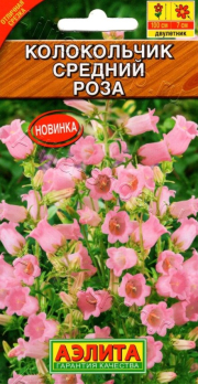 Колокольчик Роза /Аэлита/
