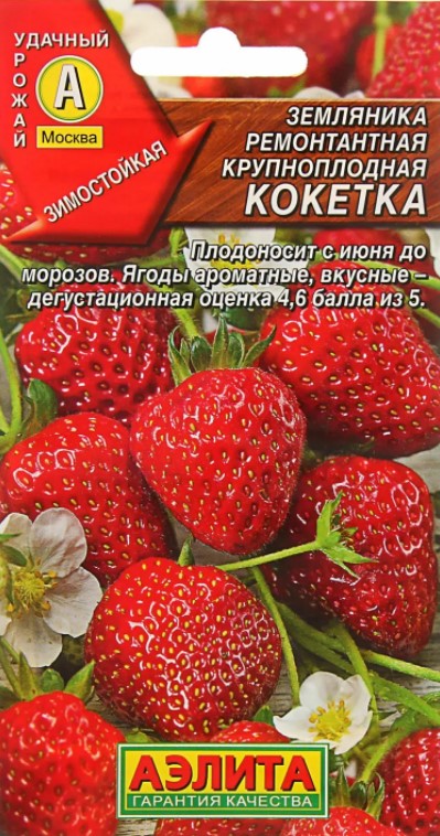 Клубника Кокетка ремонтантная /Аэлита/ Земляника крупноплодная