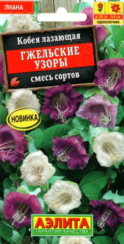 Кобея Гжельские узоры смесь сортов (Нидерланды) /Аэлита/