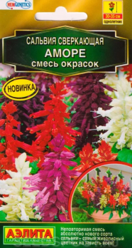 Сальвия Аморе смесь сортов (Нидерланды) /Аэлита/