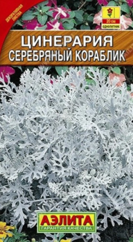 Цинерария Серебряный кораблик (Нидерланды) /Аэлита/