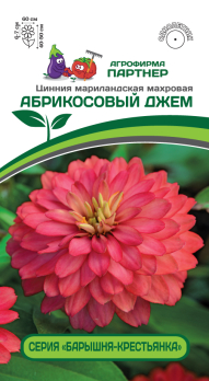 Цинния Абрикосовый джем (5шт) /Партнер/
