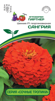 Цинния Сангрия F1 (4шт) /Партнер/