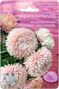 Хризантелла (Астра китайская) Розовый перламутр (30шт) /Биотехника/